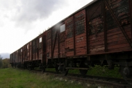 6 Bis